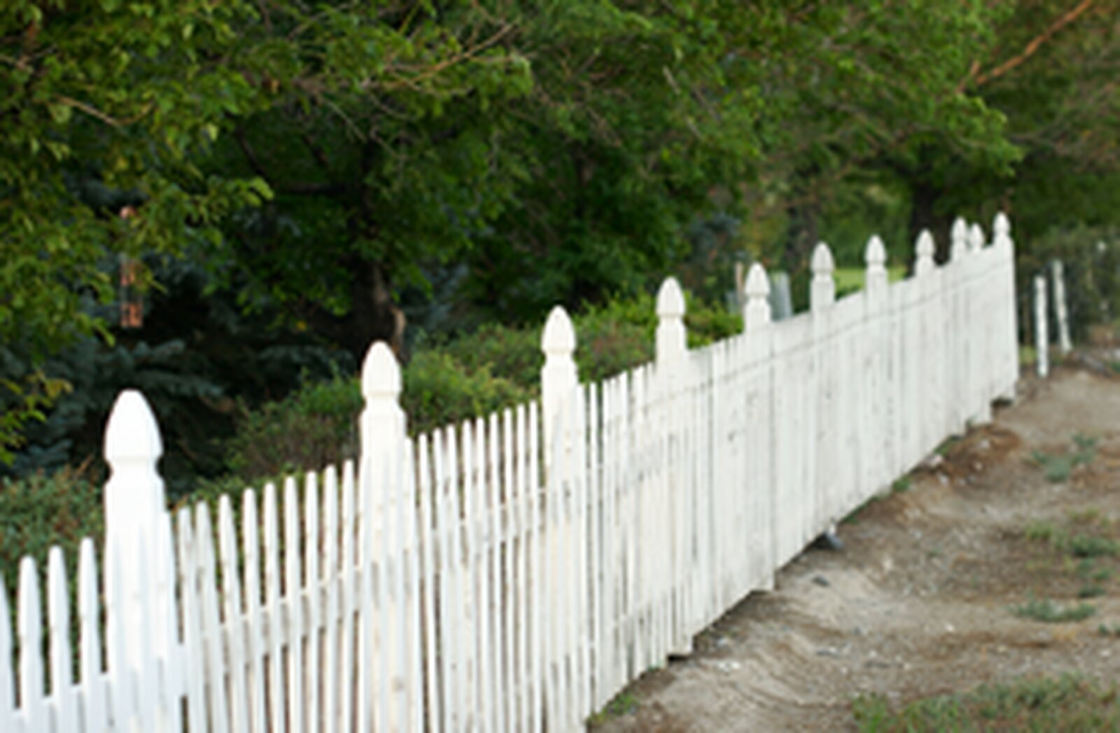 Fence cleaning